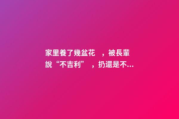 家里養了幾盆花，被長輩說“不吉利”，扔還是不扔？